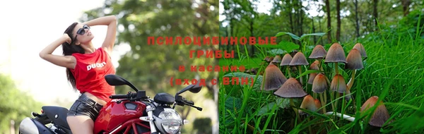 таблы Аркадак